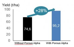 Increased 28% yield